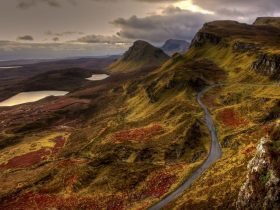 landscape-nature-mountains-road