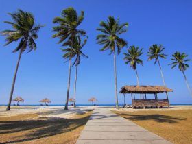 The Best Of Airlie Beach: A Must-go Destination For Family and Holiday Tours