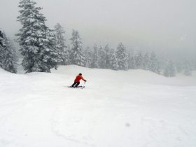 Enjoy Sports: 7 Ski Resorts Situated Near Vancouver