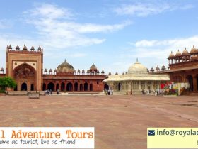 Royal Adventure Tour Is The Best Rajasthan Tour Provider Company