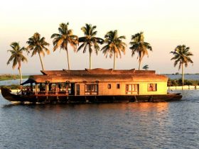 Best Places To Visit In Alleppey, The Venice Of The East