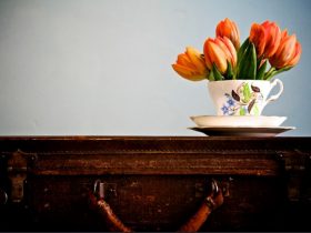 Irish Interior: Natural Style and Plain Design