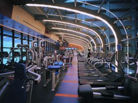 Sports Star: 5 Gyms Of New York To Meet A Celebrity