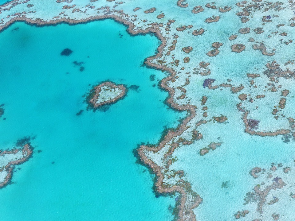 great barrier reef