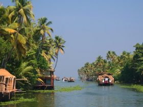All About Travel Packages In India