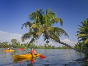 Kerala tour packages