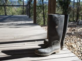 Traveling For Festival Season? Don't Forget Your Wellies!