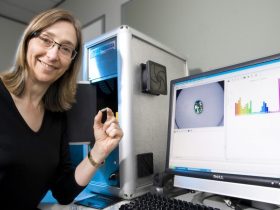 Enjoy Working In Fascinating Country Of Australia As A Systems Analyst 261112