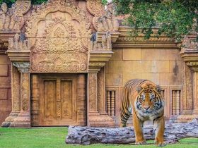 3 Different Family-Friendly Activities To Do In Miami Beach