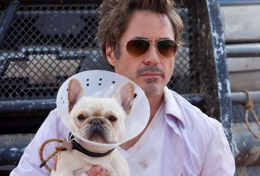 Movie Review: Due Date