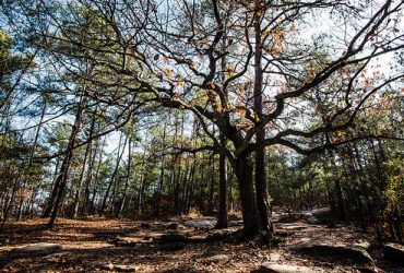 5 Outdoor Activities to Enjoy While in Norcross