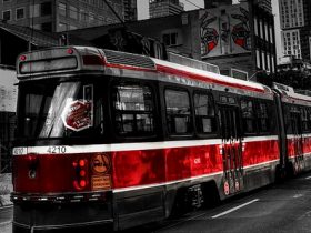 5 Ways to Enhance Your Trip to Toronto